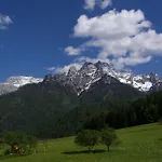 Tiroler Adler -