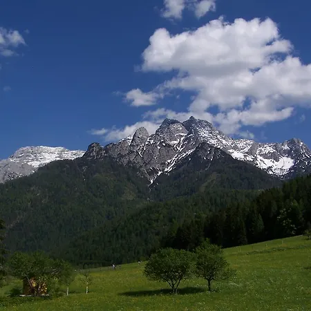 Tiroler Adler -