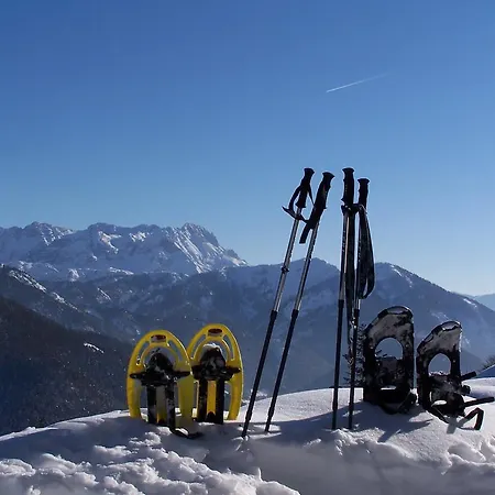 Tiroler Adler - Hotell Waidring
