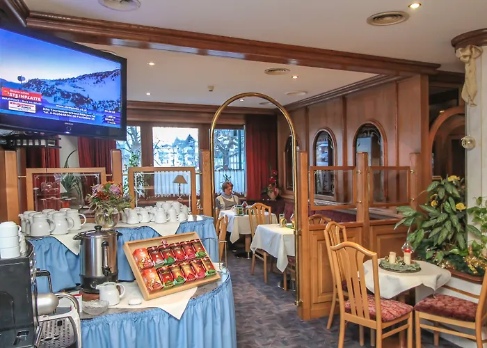 Hotel Tiroler Adler - Waidring