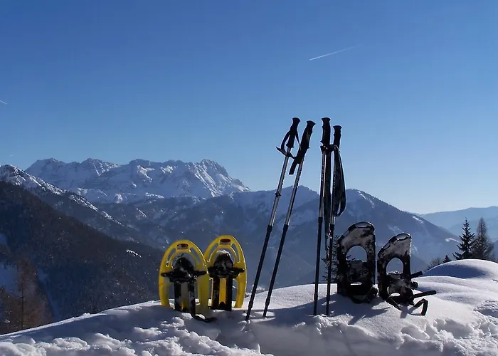 Tiroler Adler - Hotel Waidring