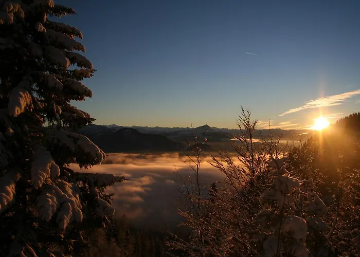Tiroler Adler - Waidring