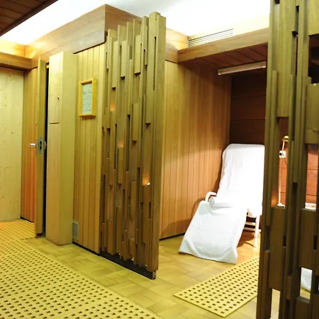 Hotel Tiroler Adler - Waidring